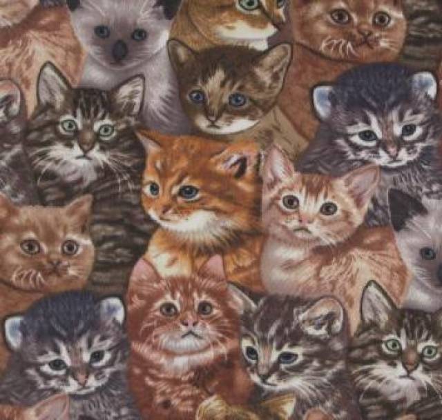 Cats Fleece - Kitten Fleece Fabric Fleece Fabric Print The Yard