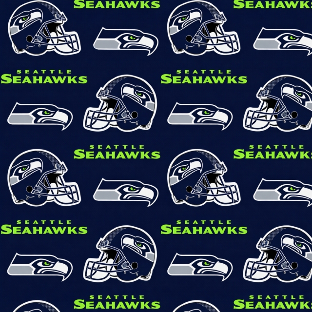 NFL Team Fleece Fabric