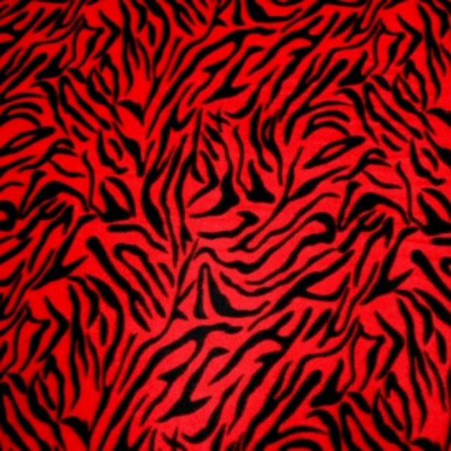 Zebra Fleece Fabric