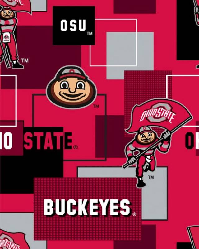 Click to view full size Ohio State University Buckeyes Blocks Fleece Fabric