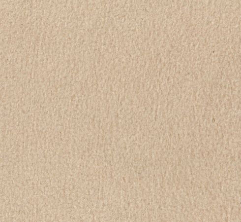 Taupe Solid Fleece Fabric