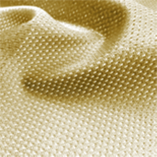 Click to view full size Vegas Gold Micro Mesh Jersey Fabric