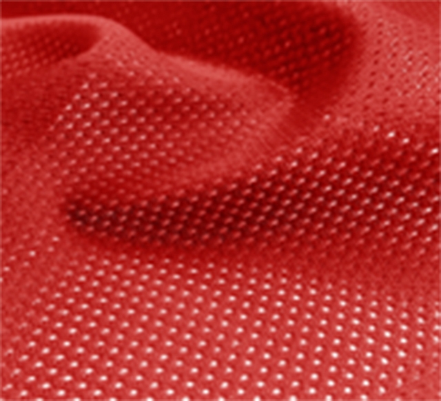 Red Micro Mesh Jersey Fabric - Fabric 