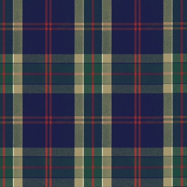 Click to view full size Green & Navy Plaid Fleece Fabric