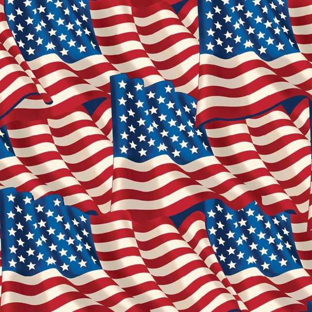 Click to view full size USA Glory Flags Allover Fleece Fabric