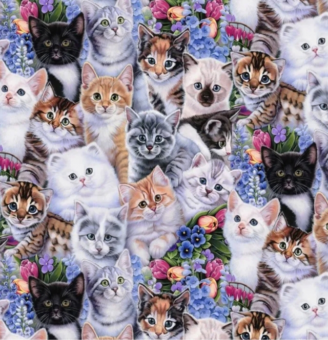 Kittens & Flowers Fleece Fabric
