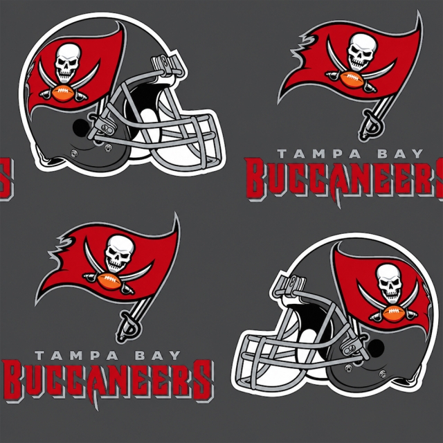 Tampa Bay Buccaneers New NFL Fleece Fabric