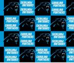 Carolina Panthers Blocks NFL Fleece Fabric