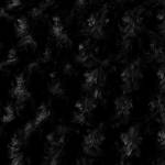 Black Minky Rose Cuddle Fabric