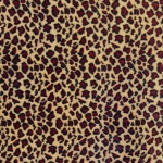 Spotted Leopard Fleece Fabric