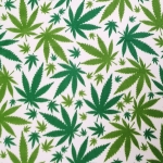 Marijuana Cannabis White Fleece Fabric	