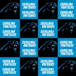 Carolina Panthers Blocks NFL Fleece Fabric